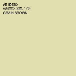 #E1DEB0 - Grain Brown Color Image